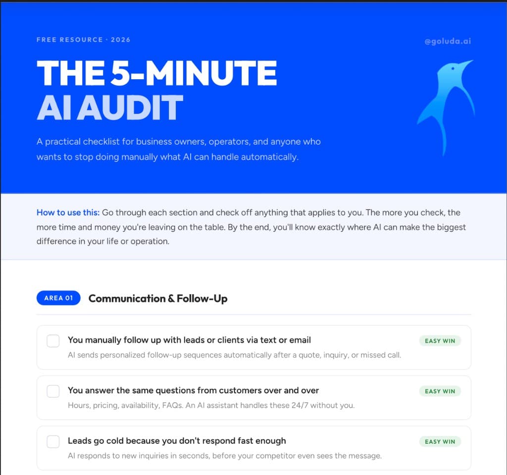 The 5-Minute AI Audit checklist preview